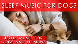 Dog and Human Sleep Music 11 Hours 432 Hz [upl. by Aned]