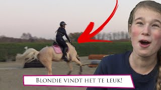 Blondie vindt crossen iets TE LEUK  Hart voor Paarden [upl. by Goldenberg622]