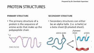 Chapter 23 Biological Molecules  Proteins [upl. by Aneeled]