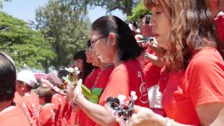 Ukulele Festival Hawaii 2015 – Nihon Ukulele Association Japan [upl. by Toolis]