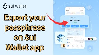 How to Export Your Passphrase on Sui Wallet App 2024 [upl. by Tiat]