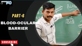 BloodOcular Barrier  structure and functional significance [upl. by Serdna120]