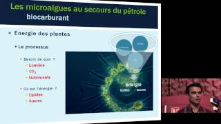 Les microalgues au secours du pétrole Gap 2014 [upl. by Synn]