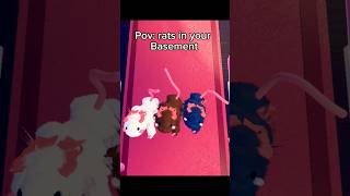 Do you like rats roblox shortsviral fypシ゚viral dresstoimpress dti funny meme dance mm2 [upl. by Butterworth437]