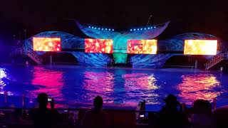 Light Up the Night  SeaWorld Orlando [upl. by Nymzaj72]