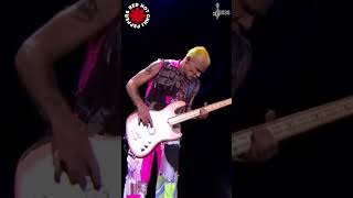 Flea on fire basssolo By ChamisBass chamisbass basstabs rhcp rhcplive flea [upl. by Yvaht]