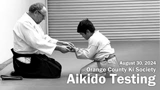 Aikido Testing Highlights  August 30 2024 [upl. by Pretrice]