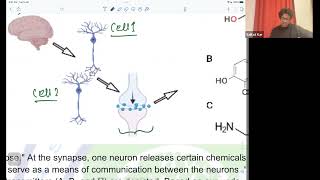 Biology Olympiad NSEBINBO Second Class 202324 Question Solving Amino acids and Proteinpart 1 [upl. by Worl]