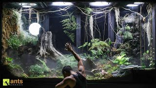 Saying Goodbye to Some Beloved Animals in My Giant Rainforest Vivarium [upl. by Gibeon329]