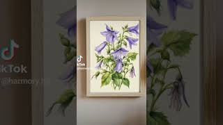 Discover beauty of watercolor Campanula rotundifolia licate floral artwork watercolor botanical [upl. by Geraldine987]