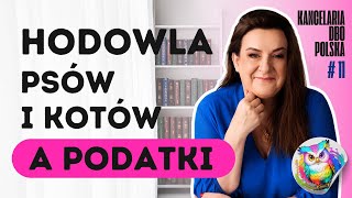 Hodowla psów i kotów a podatki [upl. by Yliah297]