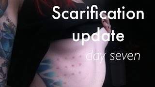 Day Seven Scarification Update [upl. by Nancie]