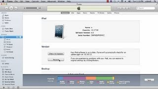 How to Authorize an iPad for the Computer  iPad Tutorials [upl. by Heber150]