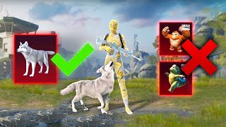 WOLF is BEST NEW Pet 😍 PUBG MOBILE BGMI [upl. by Googins]