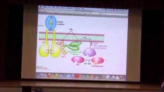 Signaling III  Metabolic Control I [upl. by Fredela755]