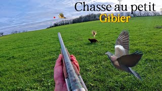 Chasse au petit gibier 26112023 [upl. by Pantin]