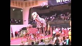 1993 Lion Dance Competition  Leungs White Crane Team A [upl. by Yruoc]