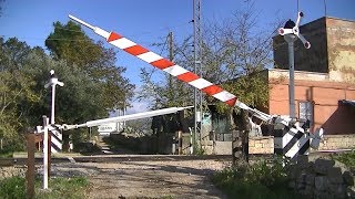 Spoorwegovergang Casamassima I  Railroad crossing  Passaggio a livello [upl. by Nikal860]