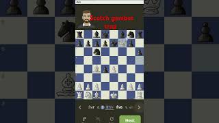 scotch gambit trap in chesscom ampampamp chessssss [upl. by Nahaj]