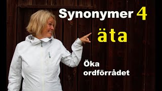 Lär dig svenska Synonymer 4  äta  71 undertexter  Learn Swedish [upl. by Nylyahs]