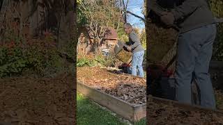 Lasagna Gardening urbanhomesteading diygarden nodiggardening layers raisedbeds fallleaves [upl. by Fifine]