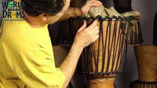 Djembe Repair amp Rehead  Positioning Goat Skin on Djembe Drum [upl. by Bedad]