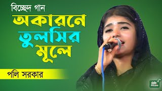 সুন্দরী শিল্পী পলির গলায় এত যাদু অকারনে তুলসির মূলে জল ঢালিলাম  পলি সরকার  Poli Sarkar [upl. by Anavrin]