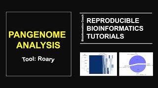 Roary pan genome tutorial  Bioinformatics tutorial on Pangenome analysis of bacterial genomes [upl. by Otecina666]