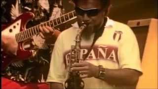 Fat Freddys Drop  The Best Live Performance Ever HD [upl. by Beard428]