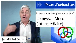 La complexité c’est pas compliqué  le niveau méso intermédiaire [upl. by Whitten]