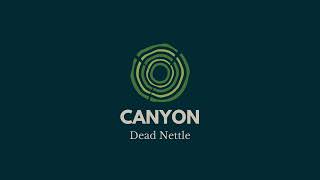 quotCanyonquot  Dead Nettle [upl. by Maer]