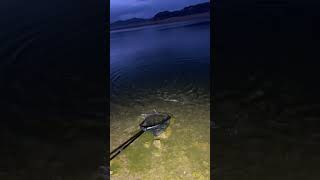 Fishing At Beautiful 11 Mile Reservoir In Lake George Colorado Amazing Night fishing shorts it [upl. by Tannen810]