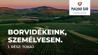 Borvidékeink személyesen 1 rész Tokaj [upl. by Llij]