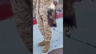 What we find at work army marines military trashpanda [upl. by Ancelin19]