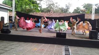 grupo de danza flor de caña presentacion directivos IOV en Costa Rica [upl. by Carolina765]