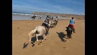 4K  Départ à fond grand galop sur la plage  Amazir Cheval [upl. by Hutson945]