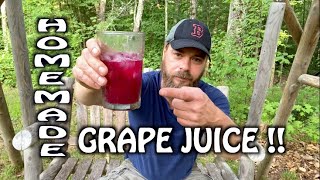 Making Homemade Grape juice from our first harvest of grapes [upl. by Eyt755]