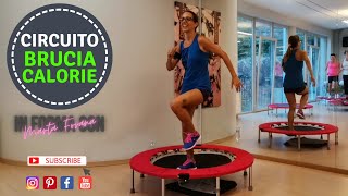 Brucia Calorie e Modella i Muscoli con il Trampolino  Percorso Piramidale Rebounder Workout 01 [upl. by Rahcir457]