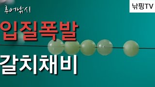 입질 폭발 자작채비 만드는법  갯바위 갈치루어낚시 자작채비 방법 으로 입질이 폭발합니다 [upl. by Halbeib563]