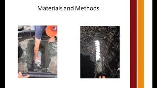 Removal of Nitrogen and Phosphorus from Nursery Runoff using Zeolite and Woodchips [upl. by Enelav]