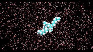 Dinâmica molecular do comportamento de uma molécula hidrofóbica hexano em água [upl. by Lananna]