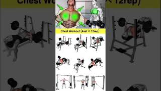 Ultimate Shoulder Workout Only Dumbbells Needed for Massive Gains [upl. by Torbart]