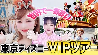 1日で71万円使いました💰世界で一番高い東京ディズニーVIPツアー✨ [upl. by Nnairek]