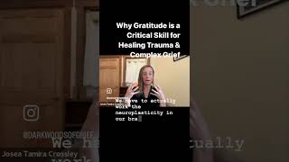 Why Gratitude is a Critical Skill for Healing Complex Trauma amp Grief [upl. by Appledorf852]