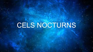 Cels Nocturns 2024 [upl. by Barcus]