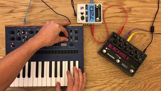 Korg Monologue Layering w Electro Harmonix 720  Eventide Space [upl. by Anirbys]