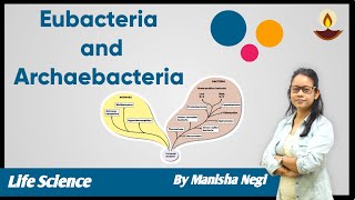 Difference between Eubacteria and Archaebacteria  Manisha Negi  avyan ias academy [upl. by Henri331]