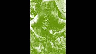 Coffin Vomit  An Influx of Death Stench Full Album [upl. by Annairdna175]