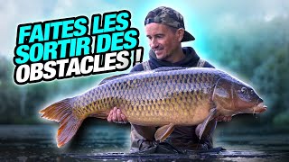 CARP FISHING FILM FAITES LES SORTIR DES OBSTACLES [upl. by Euqcaj836]