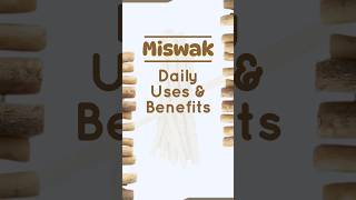 Miswak  ToothCleaning Stick  EduCare  Natural Cure amp Tips miswak benefits [upl. by Sabas458]